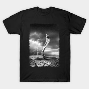 THE STORM IS COMING 1 T-Shirt